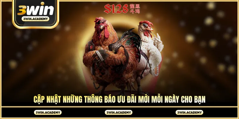 Cập nhật những thông báo ưu đãi mới mỗi ngày cho bạn