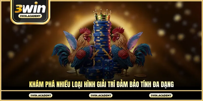 Khám phá nhiều loại hình giải trí đảm bảo tính đa dạng